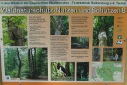 Infotafel Waldnaturschutz