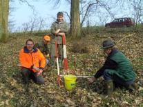 Vier Männern knien im Wald, um einen verbissenen Jungbaum zu betrachten.