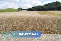 Reifes Kornfeld in hügeliger Landschaft; Schriftzug Online-Seminar