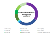 Grafik Baumanteile