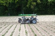 Hackroboter Farmdroid in Zuckerrüben