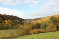 typische Wald-/Offenlandverteilung im Taubertal