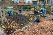 Personen knien und stehen um Beete in einem Garten