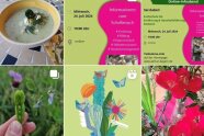 Bild Instagram - Kopie