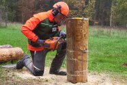 Auszubildender schneidet mit Motorsäge an Baumstamm