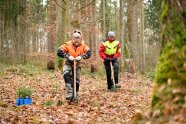 Zwei Forstwirt*innen pflanzen Tannen-Ballenpflanzen mit dem Hohlspaten