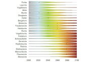 Grafik mit der Baumartenzusammensetzung für die verschiedenen Analogregionen