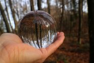 Wald in Glaskugel