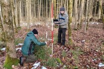 Zwei Männer vermessen mit Fluchtstäben und Metermaß junge Bäume im Wald.