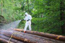 Ein Mann mit voller Schutzausrüstung besprüht Holzpolter mit einem Pflanzenschutzmittel.