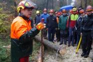 Foto mehrerer Zuhörer in Sicherheitsausrüstung im Wald vor Stamm mit Seil