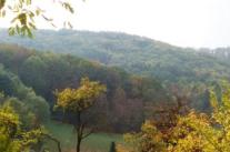 Blick über bewaldete Hügel