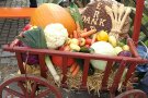Erntedank-Wagen vor der Landwirtschaftsschule