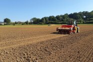 Aussaat auf der Demofläche zur Pflanzenschutzreduktion im Raps am 27.08.2024
