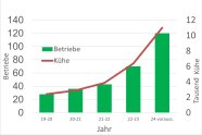 Balkendiagramm mit Angaben zu Betrieben, Jahr und Tausend Kühe. Die Zahl stieg von etwa 30 im Jahr 2019 auf derzeit 120.hl nahm von 