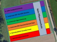 Versuchsplan der Demoanlage zur Pflanzenschutzmittelreduktion im Raps in Röckingen