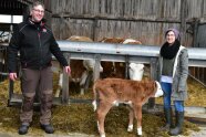 Zwei Personen stehen neben Kuh und Kalb