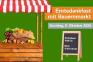 Grüner Hintergrund mit Orangen u grauen Schriftfeldern Marktstand, Aufsteller