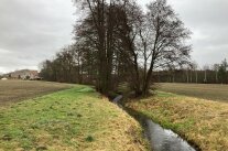 Gewässerrandstreifen am Ob Mühlbach bei Dürrnhof (Merkendorf)