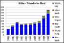 Balkendiagramm zum Bestand des Triesdorfer Rinds. Von 2010 bis 2019 stieg die Zahl von 40 auf 180 an.