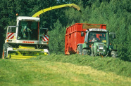 Silageernte